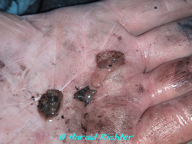 DSC00358 640x480px.jpg